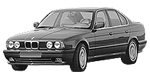 BMW E34 P3295 Fault Code